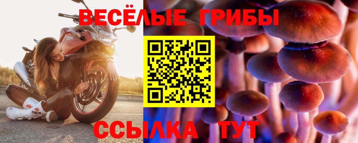 Псилоцибиновые грибы прущие грибы Лосино-Петровский